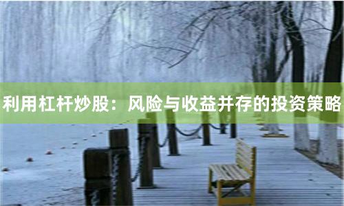 利用杠杆炒股：风险与收益并存的投资策略