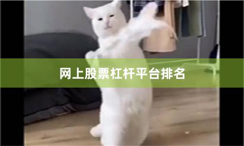 网上股票杠杆平台排名